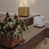 "Textured clay planters in earthy tones: terracotta, beige, and white, displayed on a minimalist concrete staircase."