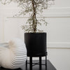 Black ribbed planter with a minimalist design and a textured white decorative object beside it. Modern, neutral colors.
