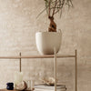 Light beige planter on a minimalistic metal shelf, with a backdrop of textured, earthy tones. 