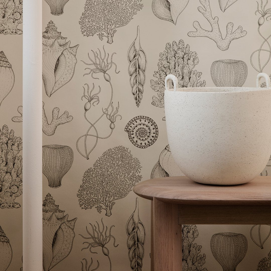 Beige wallpaper featuring detailed illustrations of coral and sea plants in natural tones, complemented by a light-colored planter.