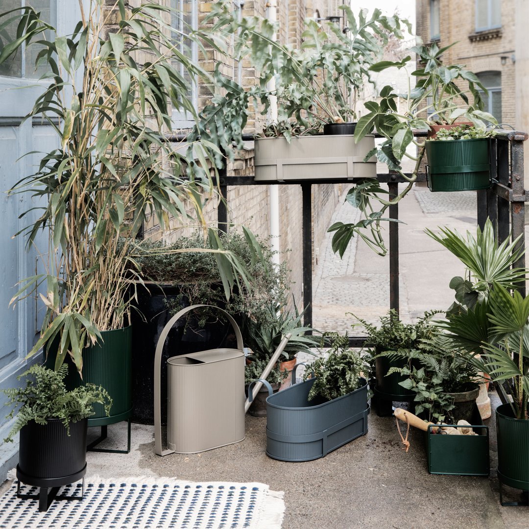 Living space featuring green planters, a soft gray planter, and a striped blue and white rug, surrounded by lush foliage.