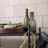 Green and grey glass bottles, earthy tones of the bowl, and vibrant leafy greens on a black shelf against a pale backdrop.
