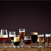 Assorted glasses filled with various shades of amber, brown, and golden beers against a dark background.