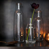 Clear glass vases with elegant silhouettes, featuring a dark background and simple floral accents.