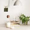 White milk glass with cork top, clear glass, and green leafy plant on a beige wood table, set against a light wall.