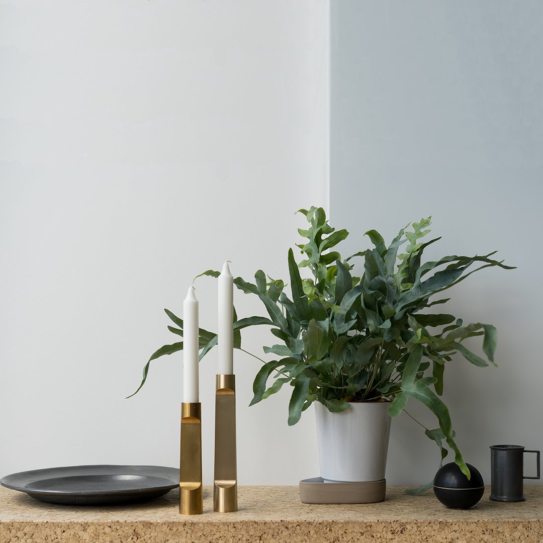 Minimalist decor featuring black plate, gold candle holders, and lush green plant in a white pot against soft blue wall.